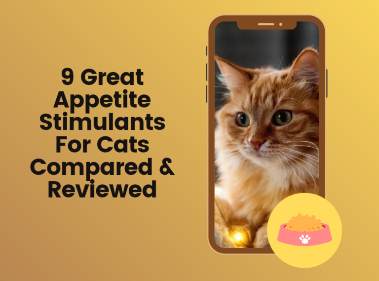 9 Great Appetite Stimulants for Cats Compared & Reviewed