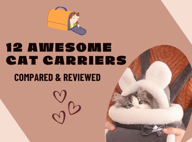 12 Awesome Cat Carriers – Compared & Reviewed