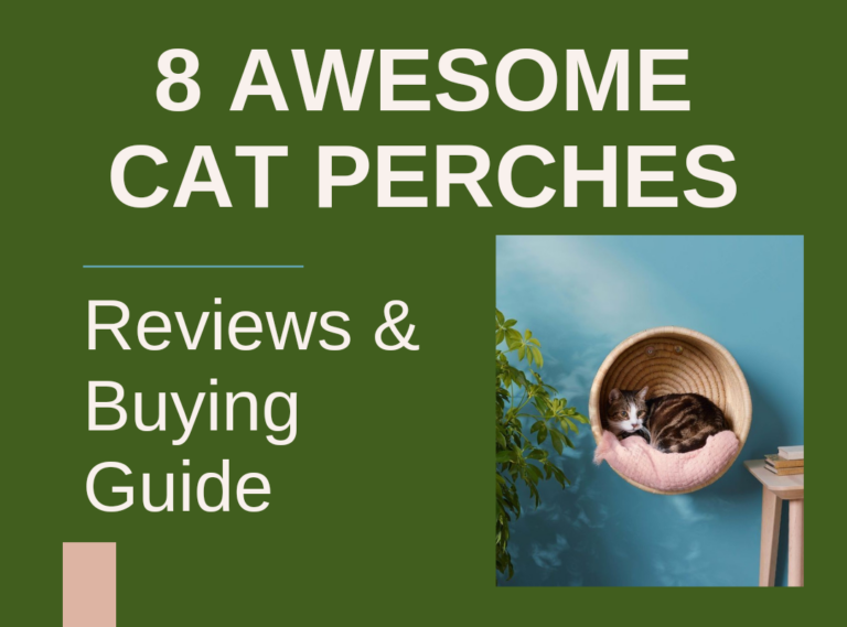 8 Awesome Cat Perches – Reviews & Buying Guide