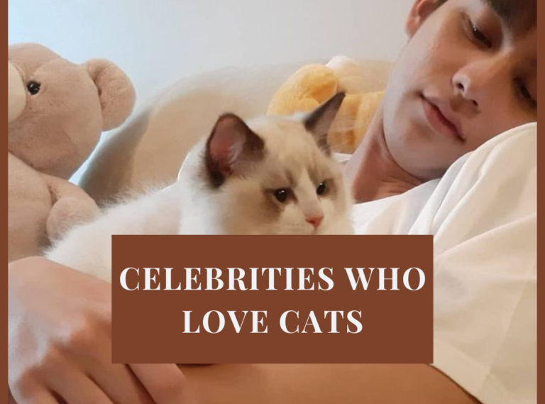 Celebrities Who Love Cats