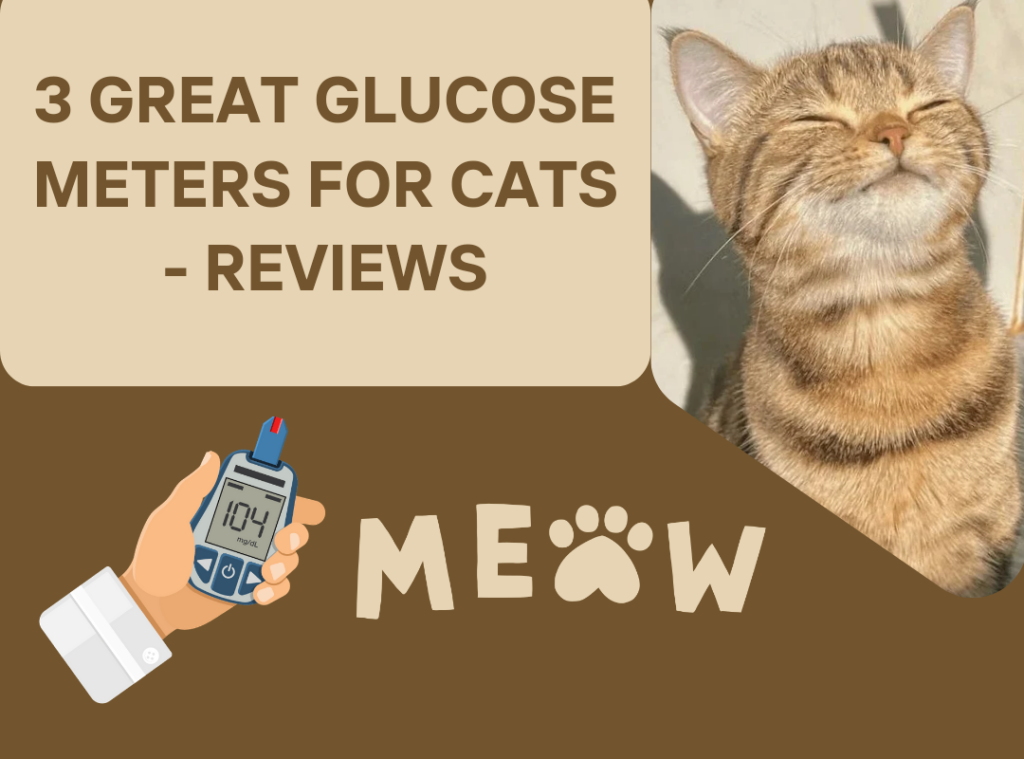 3 Great Glucose Meters for Cats - Reviews