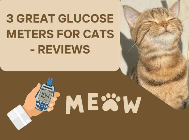 3 Great Glucose Meters for Cats – Reviews