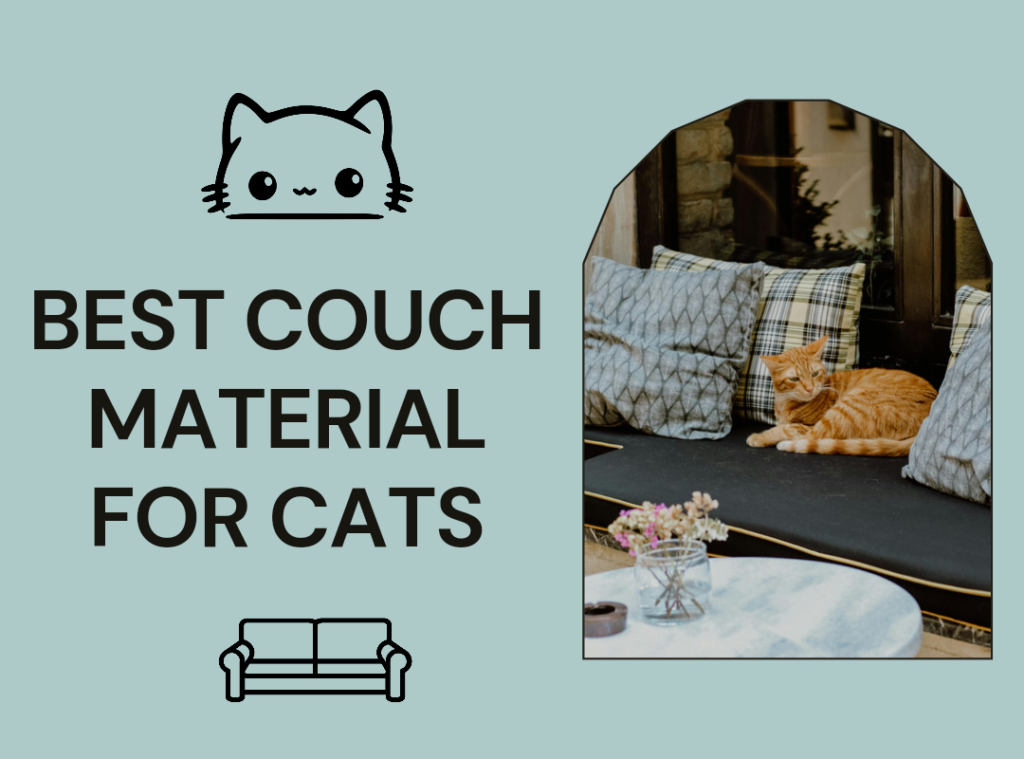 Best Couch Material for Cats