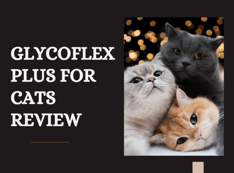 GlycoFlex Plus for Cats