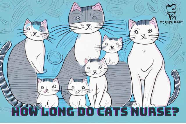 How Long Do Cats Nurse?