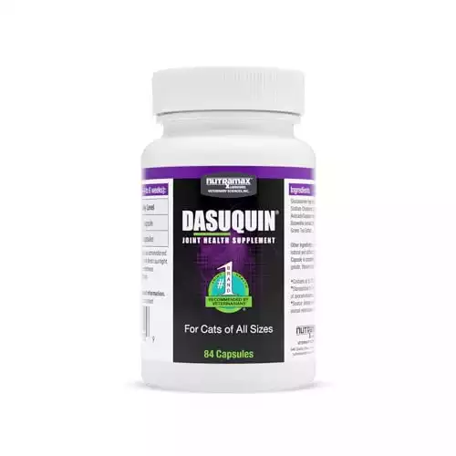 Dasuquin Joint Health Supplement for Cats