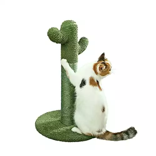 Cactus Cat Scratcher – Protect Your Furniture with Our Natural Sisal Cat Scratching Post with Teaser Ball Cat Toy