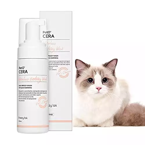 PetO’Cera Breezy Foam: Quick & Easy Cat Dry Shampoo