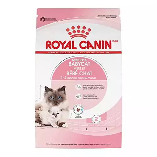 Royal Canin Mother & Babycat Dry Food: Nourishing Blend for Newborns and Moms, 6 lb