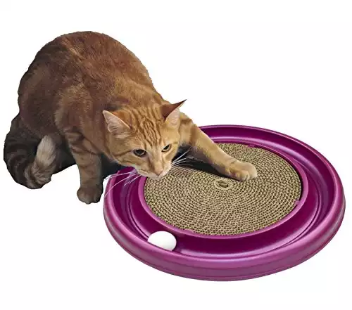 Turbo Cat Scratcher Toy with Catnip, Color May Vary