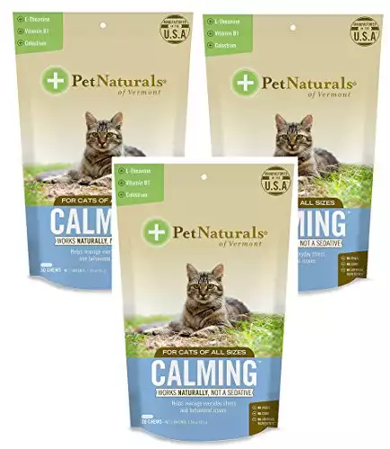 Calming Supplements for Cats