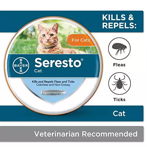 Seresto Flea and Tick Prevention for Cats, 8-Month Flea Collar for Cats
