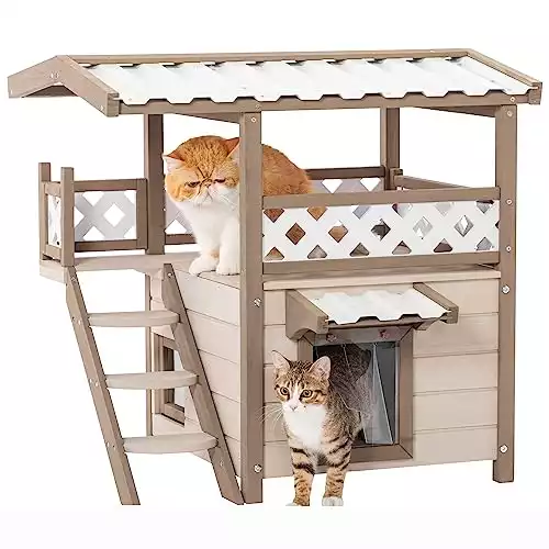 Petsfit Multi-Cat Haven: 2-Story Outdoor Cat House