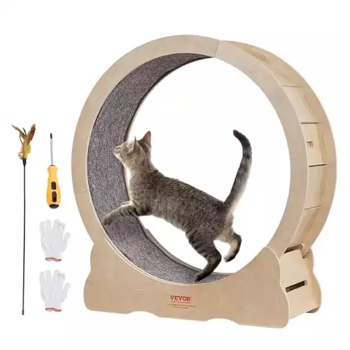 VEVOR Cat Exercise Wheel for Indoor Cats