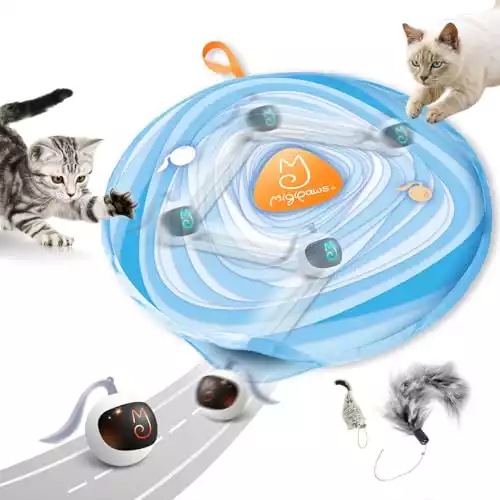 Interactive Glowing Cat Ball Toy Set