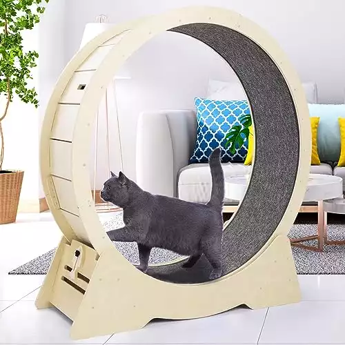QOILITY Cat Exercise Wheel - Low-Noise Cat Wheel for Indoor Cats