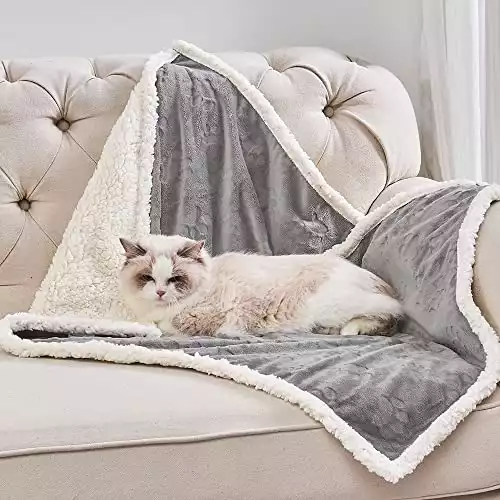 Qeils Pet Blankets for Cats - Waterproof & Washable Cat Blanket