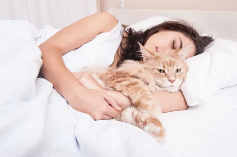 Why Your Cat Is Suddenly Affectionate At Night: Signs, Reasons & Independence Tips