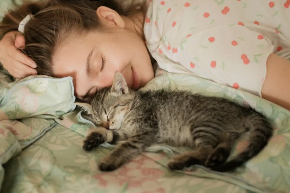 Do Kittens Sleep Through the Night