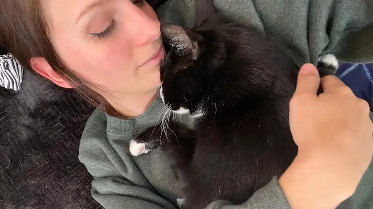 Angry And Distant Cat Finds His Sweet Side After Being Adopted