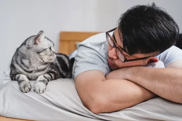 What Cats Think Of Humans: How To Understand Their Thoughts, Emotions & Expressions