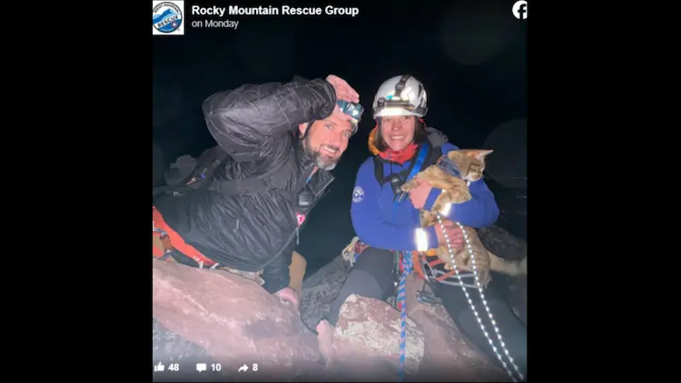 Heart-Stopping Adventure: Cat’s Climbing Trip Takes a Dramatic Turn in Colorado!