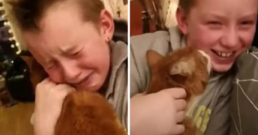 After Seven Months Apart A Boy Finds His "Lost" Cat!