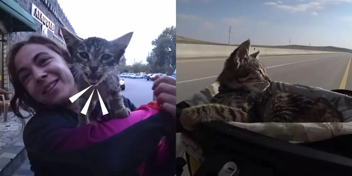 Two Girls On a Long Bike Trip Pick Up a Stray Kitten!