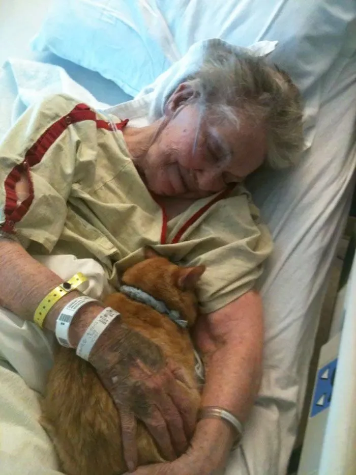 Final Goodbye: Elderly Woman’s Dying Wish Is To Be With Her Cat