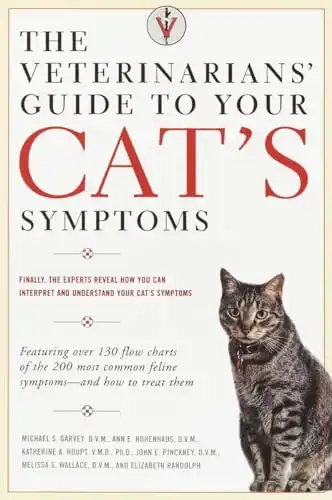 what-do-most-older-cats-die-from