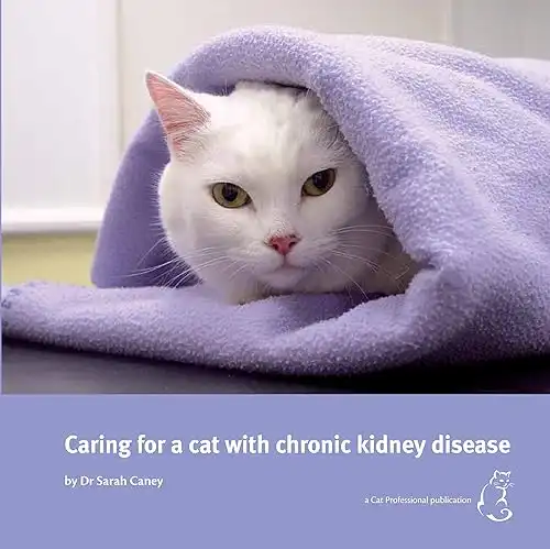 What Do Most Older Cats Die From What Do Most Older Cats Die From
