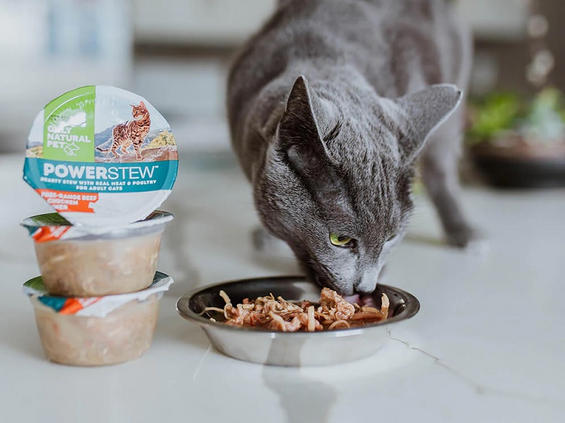 Recommended Wet Food Brands and Products