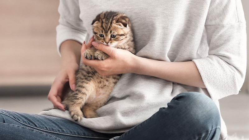 Steps to Build a Stronger Bond with Your Cat