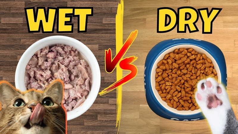 The Differences Between Wet Food and Dry Food