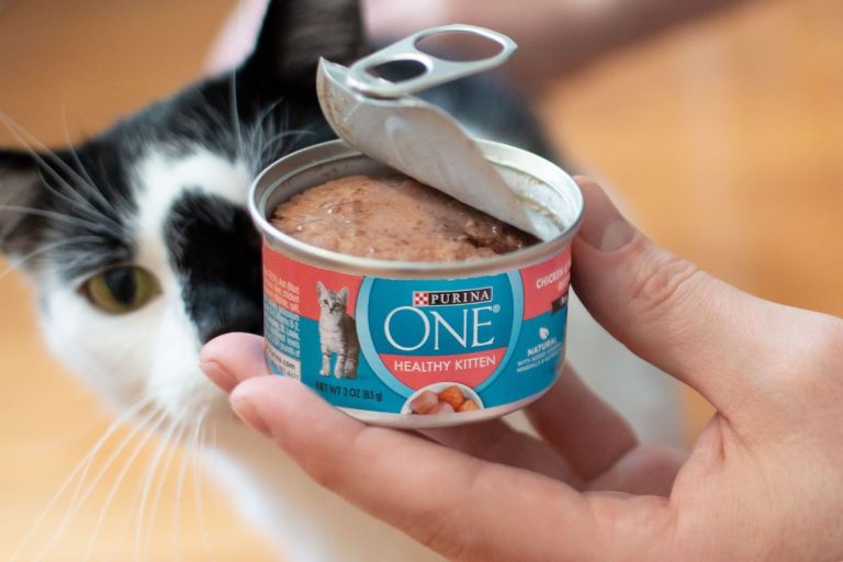 Wet Food Options for Cats with Sensitive Stomachs